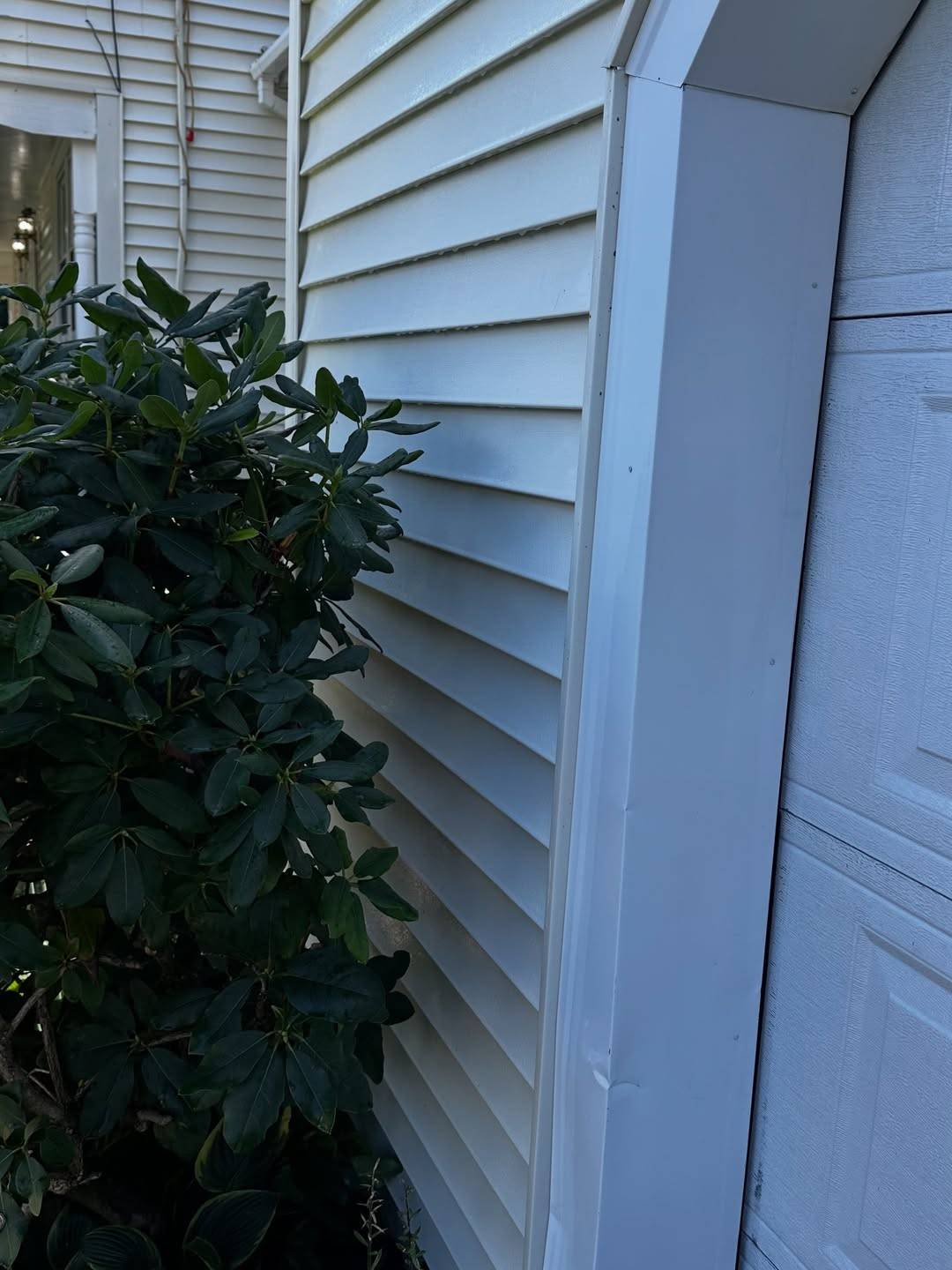 After: The same siding after a soft wash